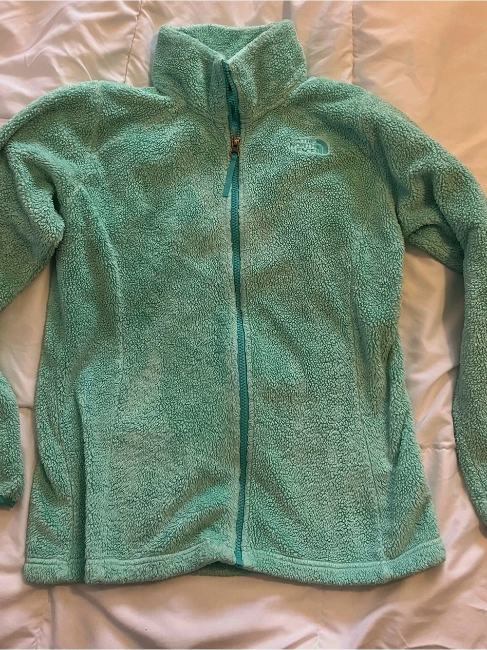 The North Face Light Teal Sherpa Fleece Jacket